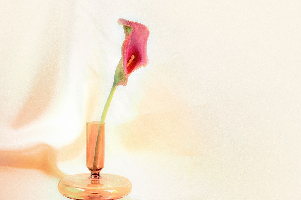 Pink lily flower in a vase on fabric textured background