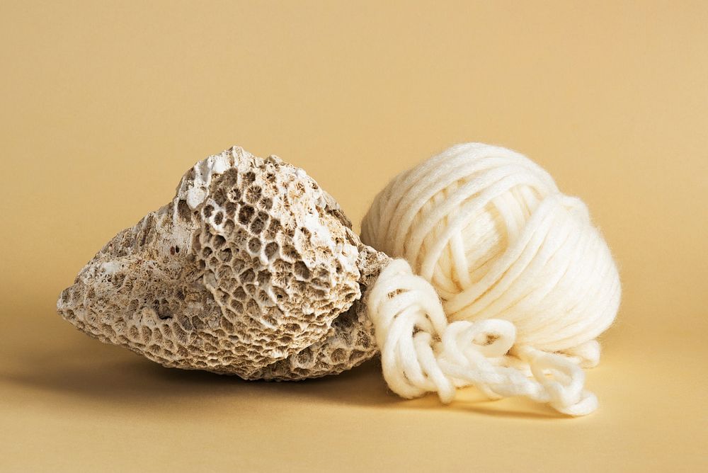 Natural coral and yarn on beige background