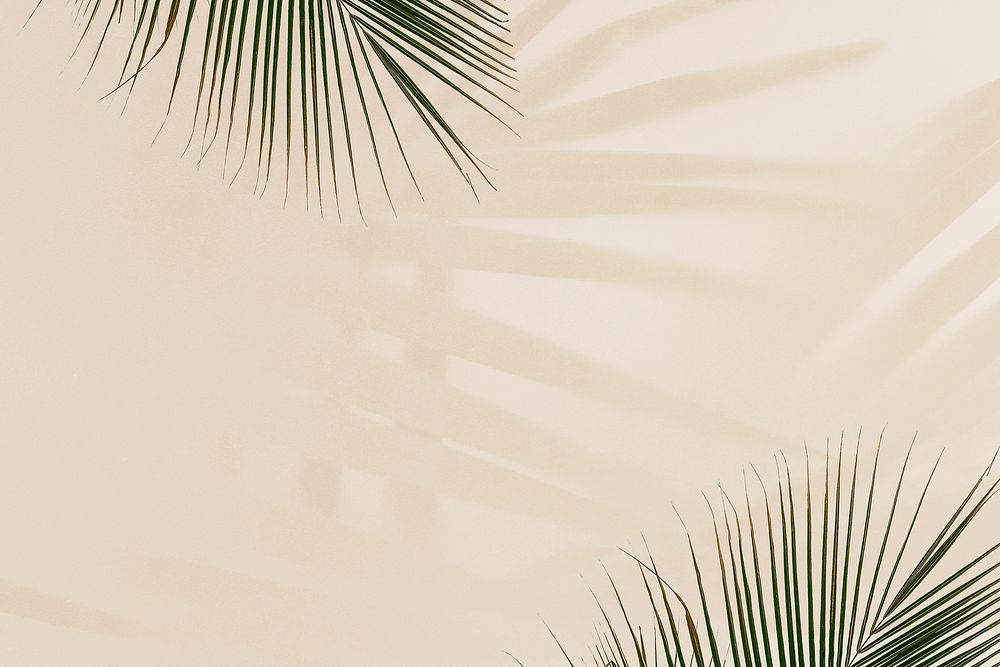 Fresh palm leaves on beige background