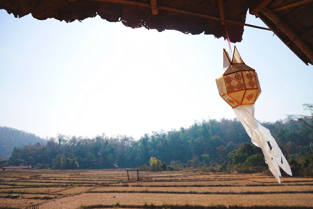 Traditional lantern background, agricultural field photo
