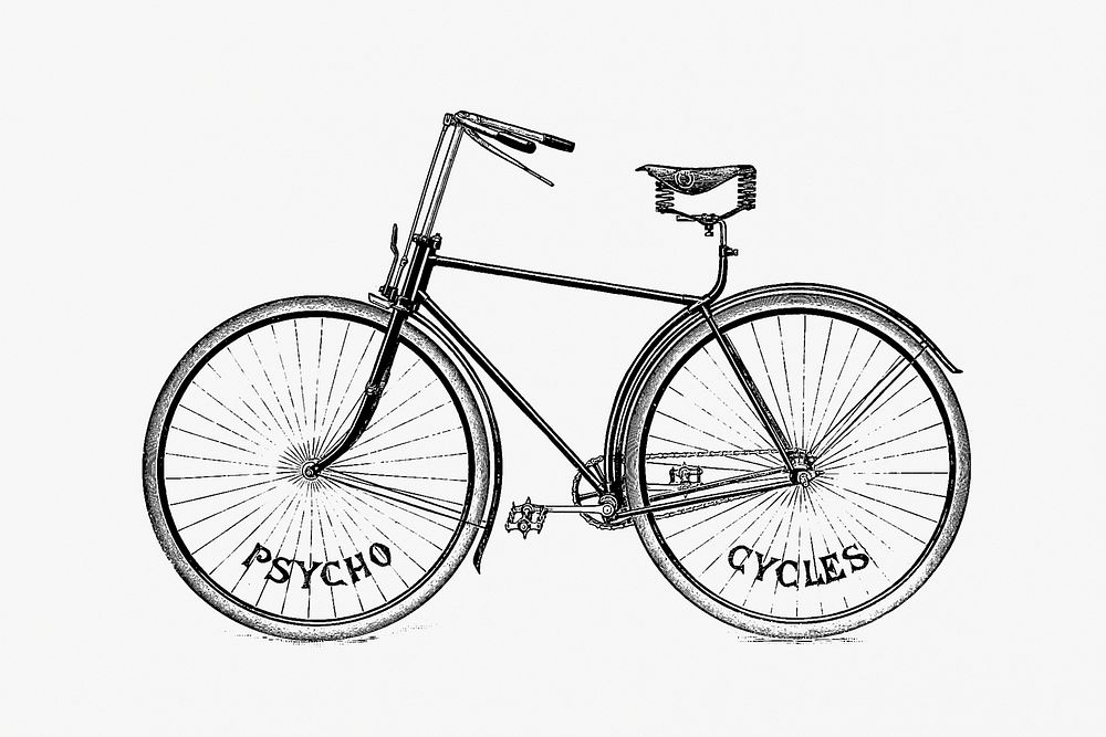 Psycho cycles bicycle from Where to Buy at Paignton.