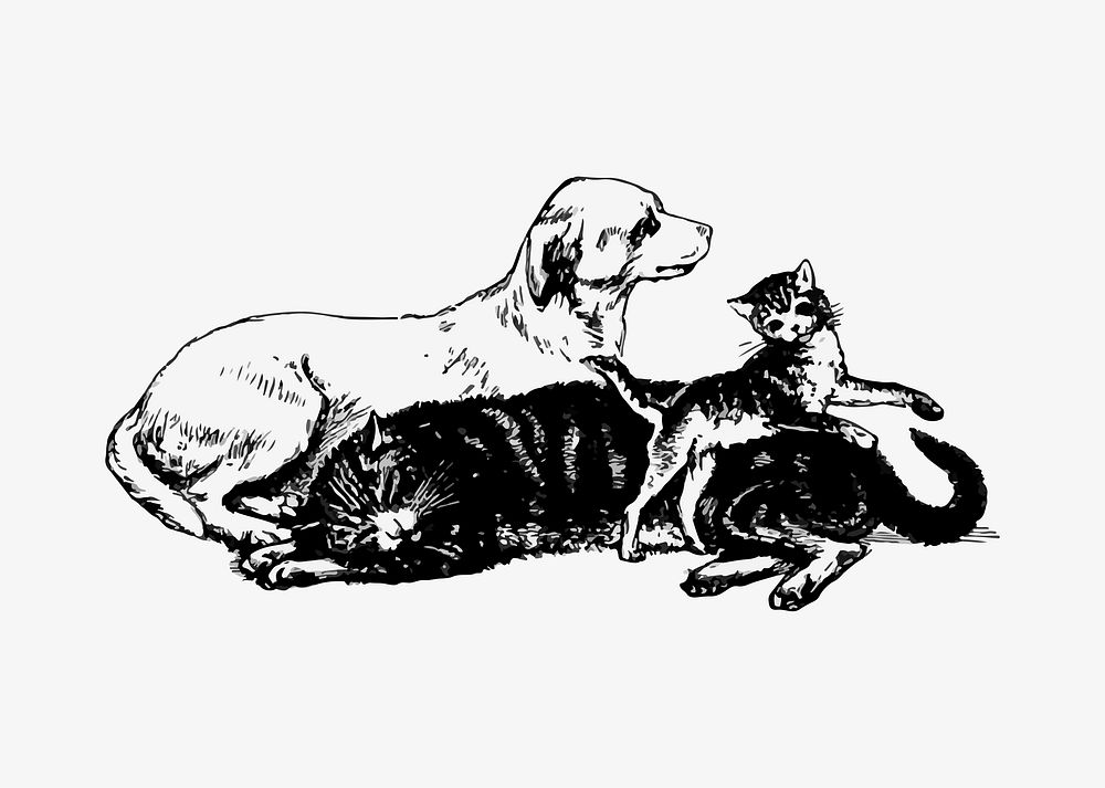 Domestic pet illustration vector