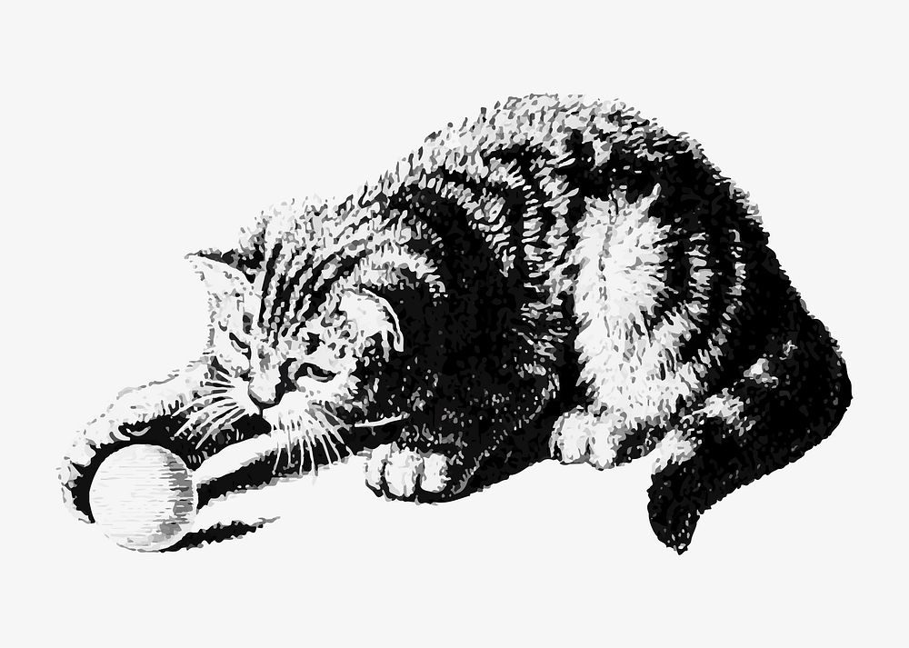 Playful cat illustration vector
