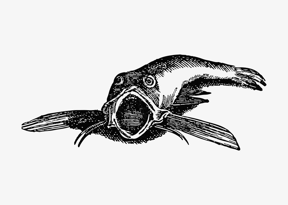 Aquatic creature illustration vector