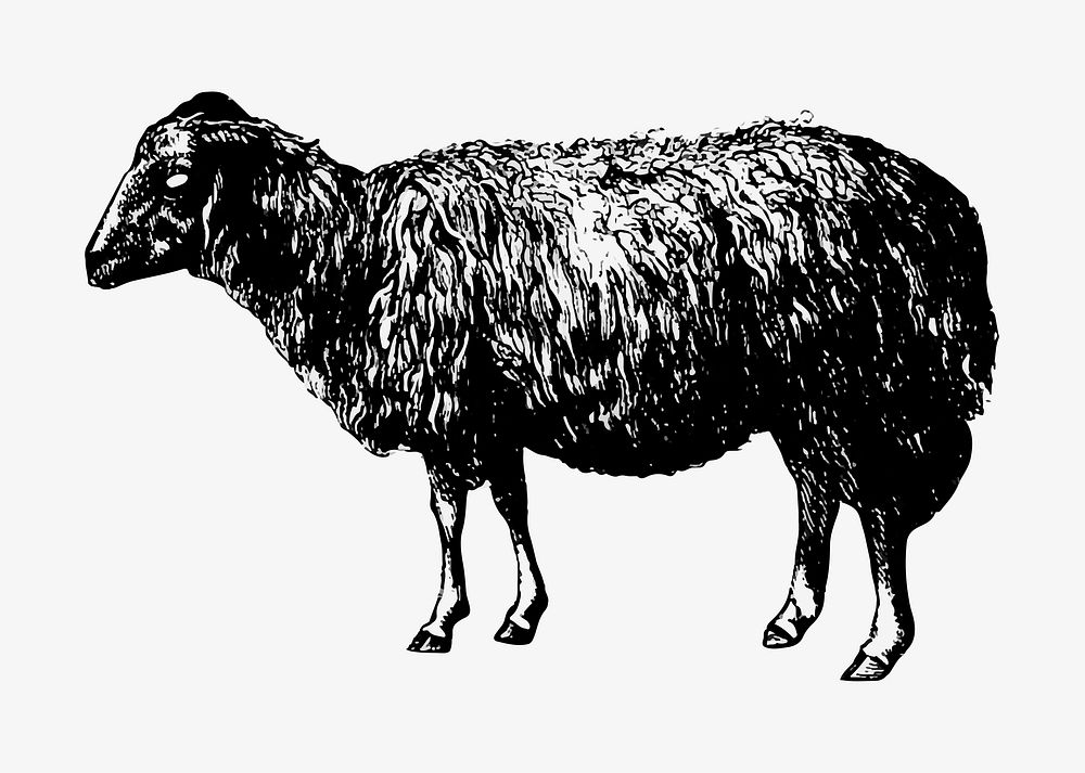 Vintage sheep illustration vector