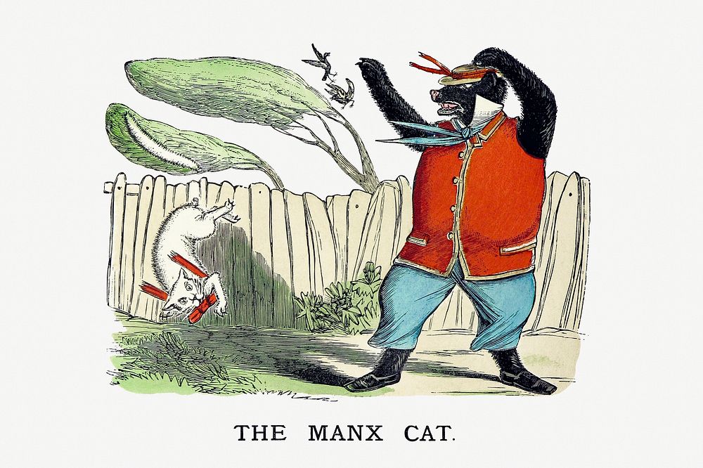 The manx cat from Un-Natural History Not Taught In Bored Schools, etc published by Simpkin, Marshall & Co. (1883). Original…