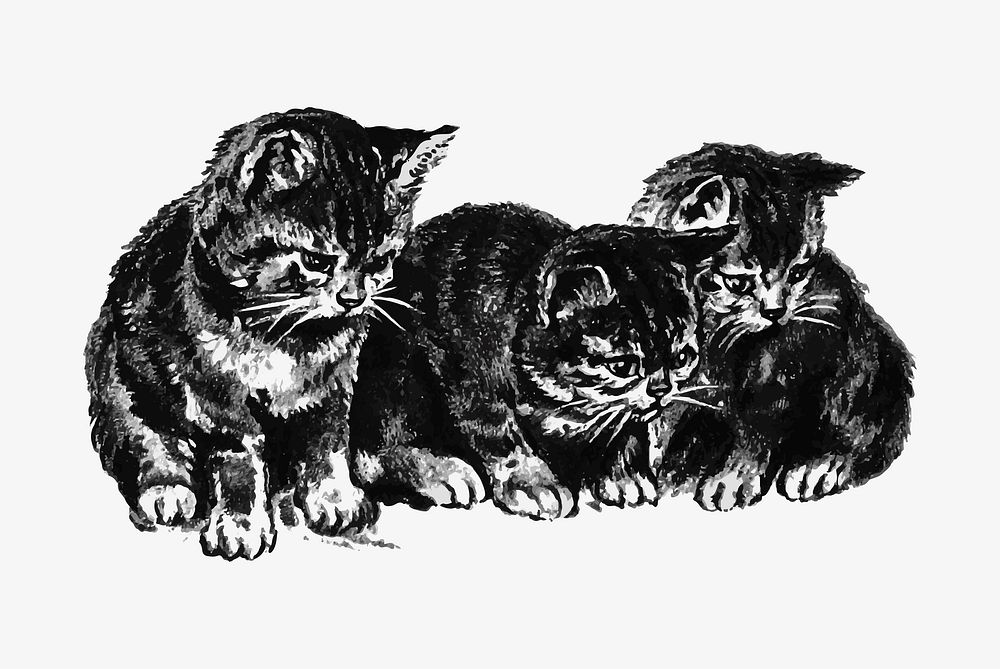 Adorable kittens illustration vector