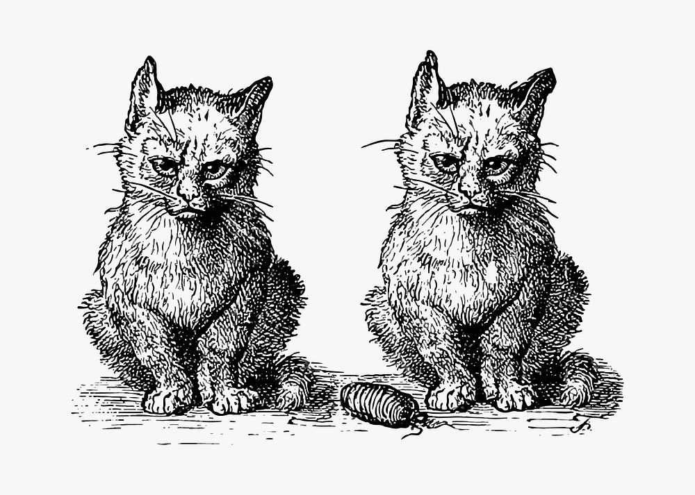Vintage Victorian style cats engraving Premium Vector Illustration