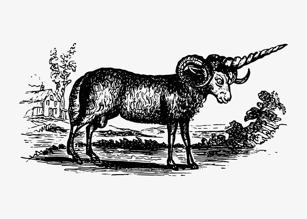 Vintage Victorian style goat engraving vector