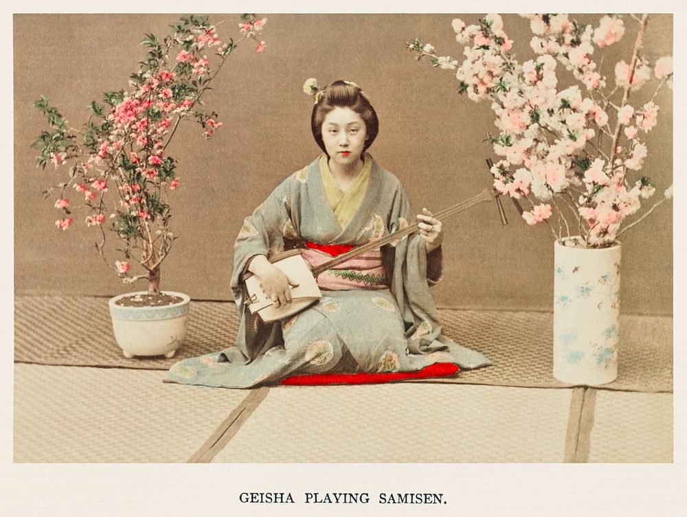 Geisha Playing Samisen, hand&ndash;colored albumen silver print from Japan. Described and Illustrated by the Japanese (1897)…