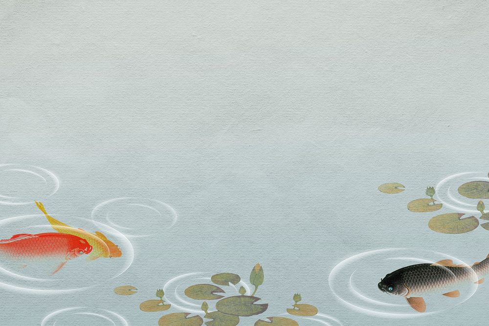 Swimming koi in a pond background illustration