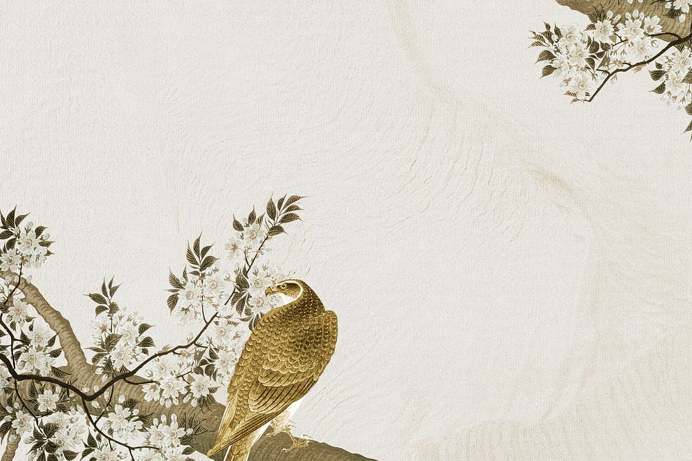 Goshawk on a cherry blossom branch background illustration