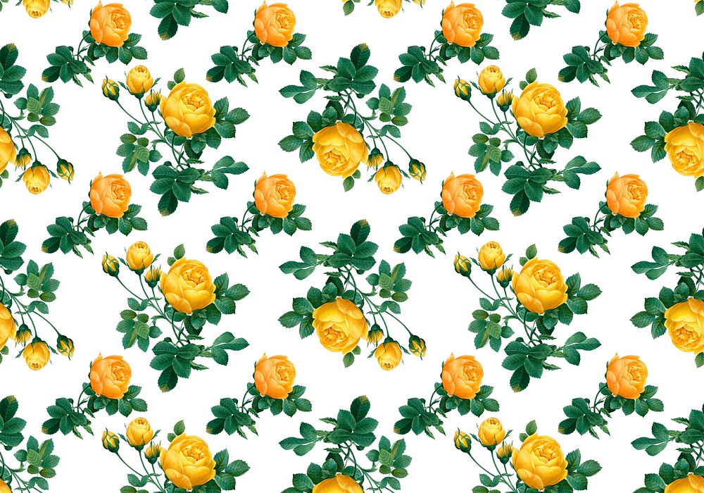 Yellow roses wallpaper design illustration