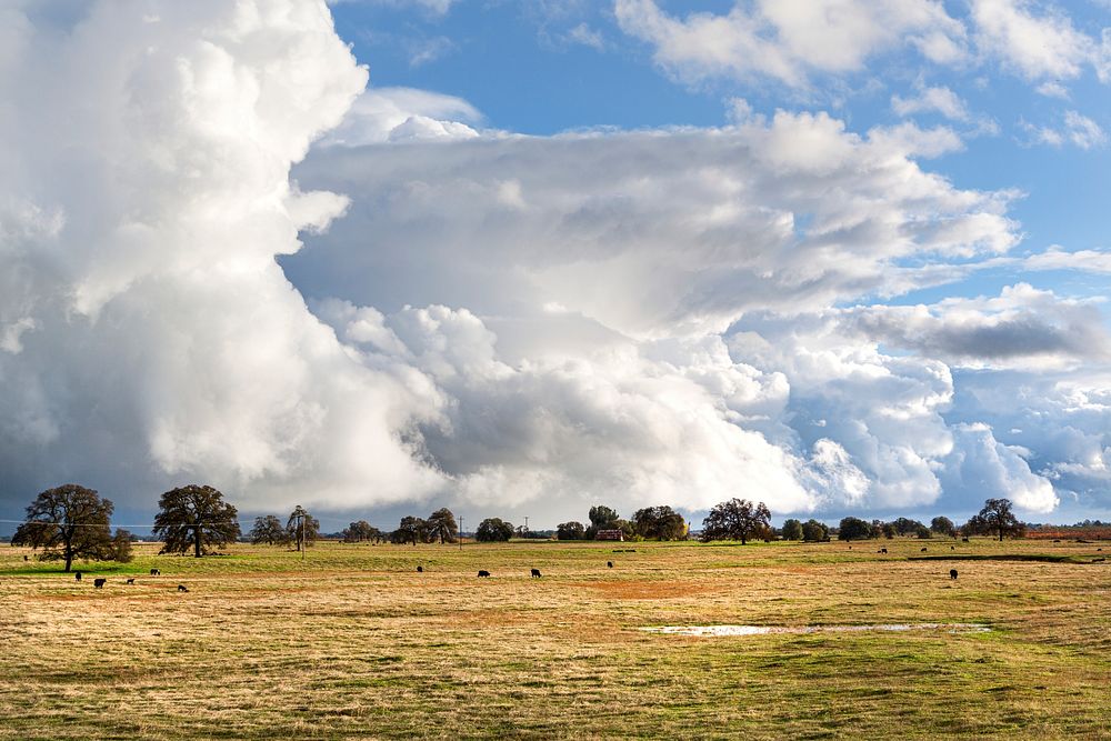 Complex clouds form after many inches of rain over several days near Stockton, California. Original image from Carol M.…