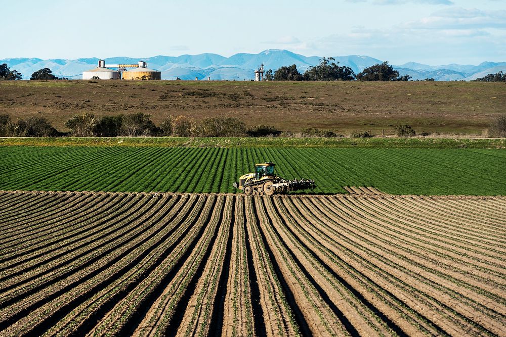 Crop rows in San Luis Obispo County, California. Original image from Carol M. Highsmith&rsquo;s America. Digitally enhanced…