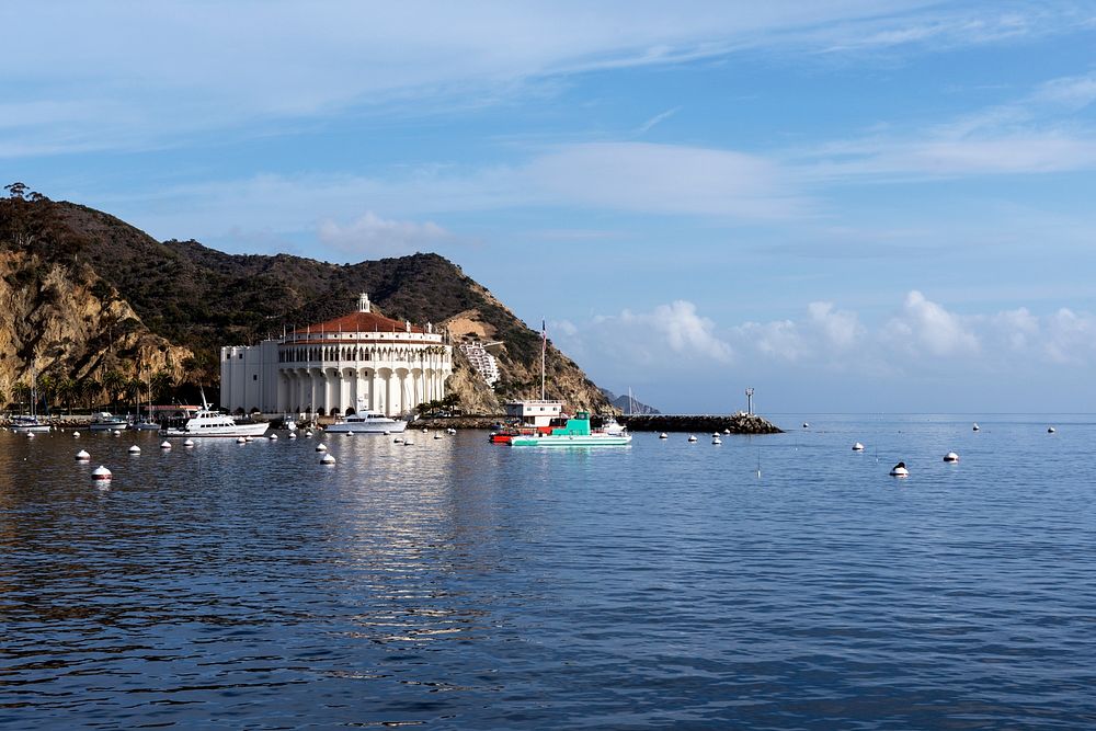 Santa Catalina Island, often called Catalina Island, or just Catalina, is a rocky island off the coast of the U.S. state of…