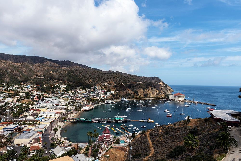 Santa Catalina Island, often called Catalina Island, or just Catalina, is a rocky island off the coast of the U.S. state of…