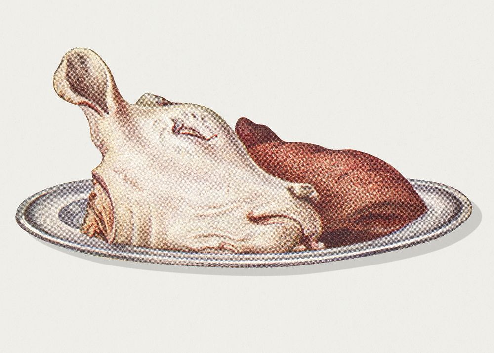 Vintage calf's head and bath chap illustration