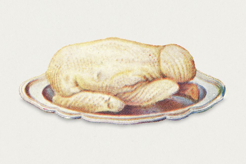Vintage boiled chicken dish illustration
