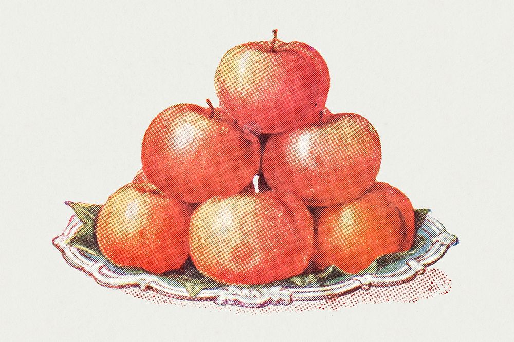 Vintage hand drawn apples design element