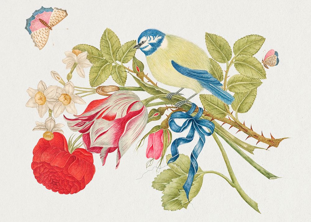 The 18th century illustration of a yellow and blue bird on bouquet with rose, tulips, and daffodils, with butterflies.…