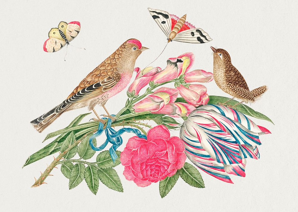 The 18th century illustration of pair of brown birds on bouquet with tulip, rose, and snapdragons, with butterflies.…