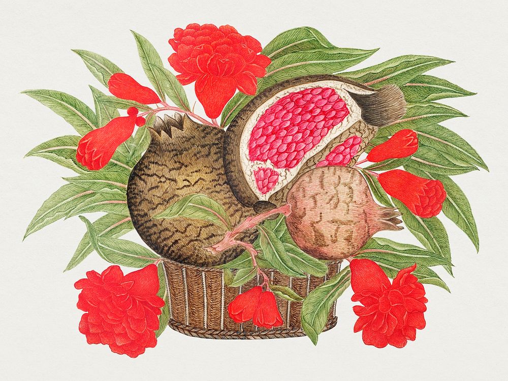 Pomegranates and blossoms in a basket, remixed from the 18th-century artworks from the Smithsonian archive.