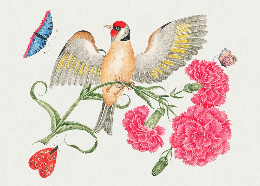Vintage bird and carnations psd illustration, remixed from the 18th-century artworks from the Smithsonian archive.