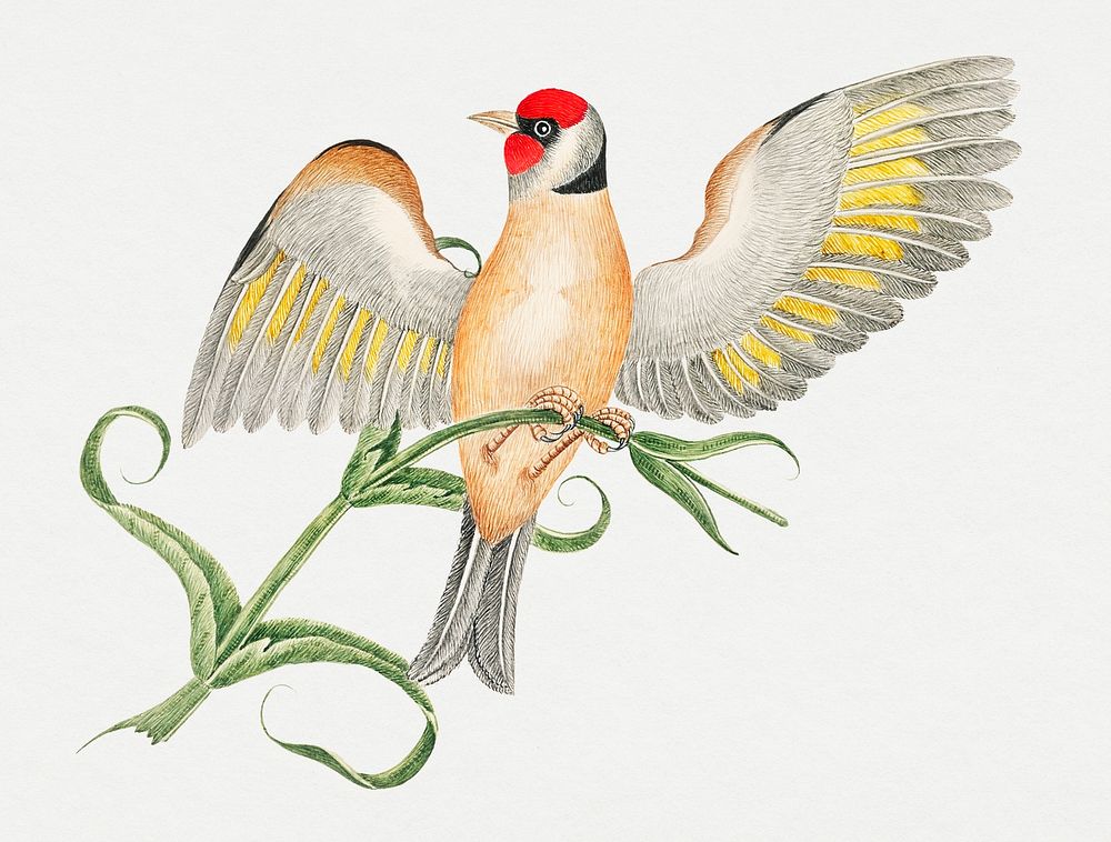 Brown bird on a branch, remixed from the 18th-century artworks from the Smithsonian archive.