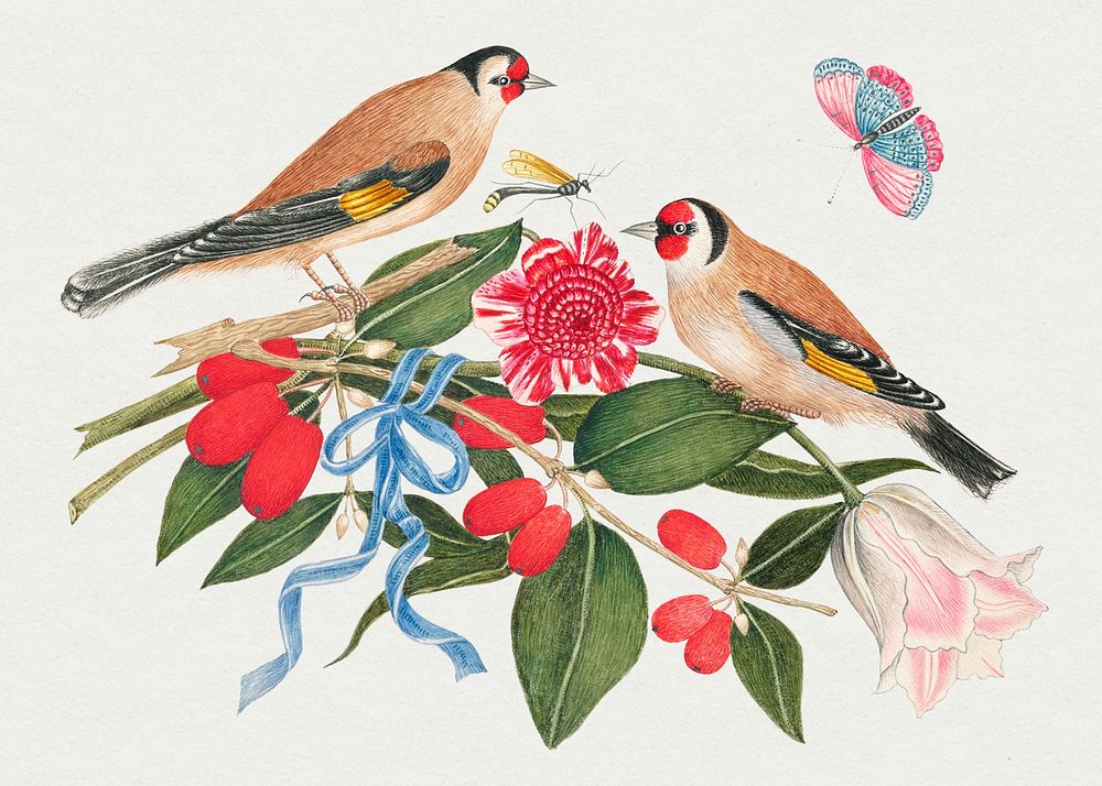 Vintage birds and berries psd illustration, remixed from the 18th-century artworks from the Smithsonian archive.