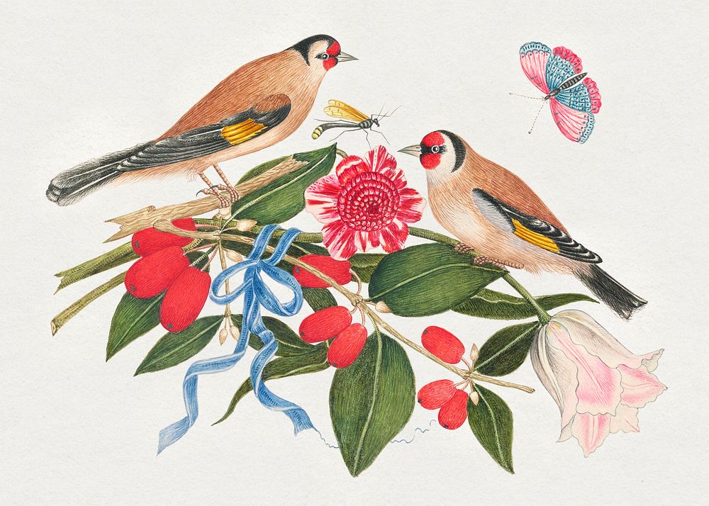 The 18th century illustration of pair of brown birds with blossoms, berries, and a butterfly. Original from The Smithsonian.…