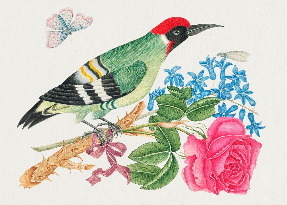 Vintage woodpecker and flowers psd illustration, remixed from the 18th-century artworks from the Smithsonian archive.