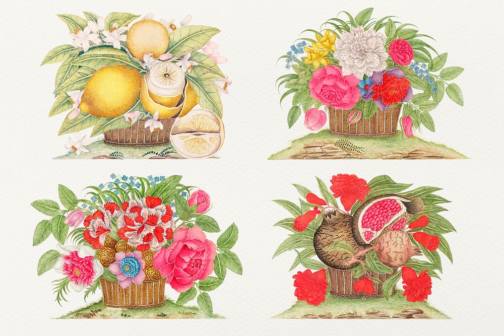 Vintage basket of flowers and fruits illustration set, remixed from the 18th-century artworks from the Smithsonian archive.