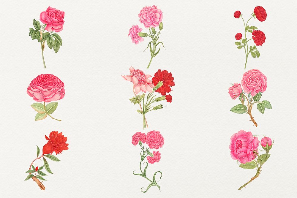 Vintage flowers psd illustration set, remixed from the 18th-century artworks from the Smithsonian archive.