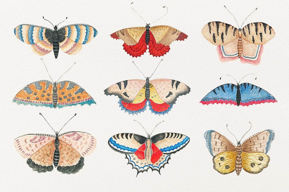 Vintage butterfly and moth watercolor psd illustration set, remixed from the 18th-century artworks from the Smithsonian…