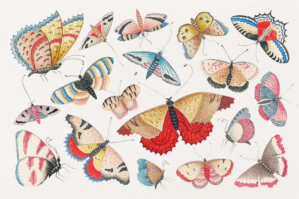 Vintage butterfly and moth watercolor psd illustration set, remixed from the 18th-century artworks from the Smithsonian…