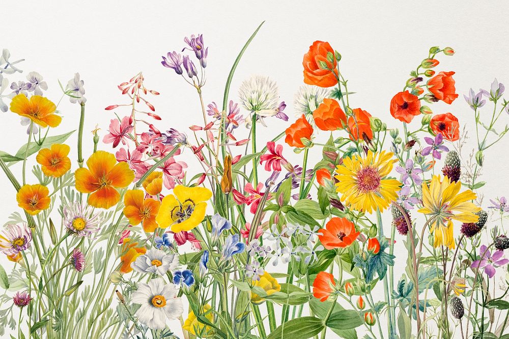 Wild colorful flower vintage illustration  background