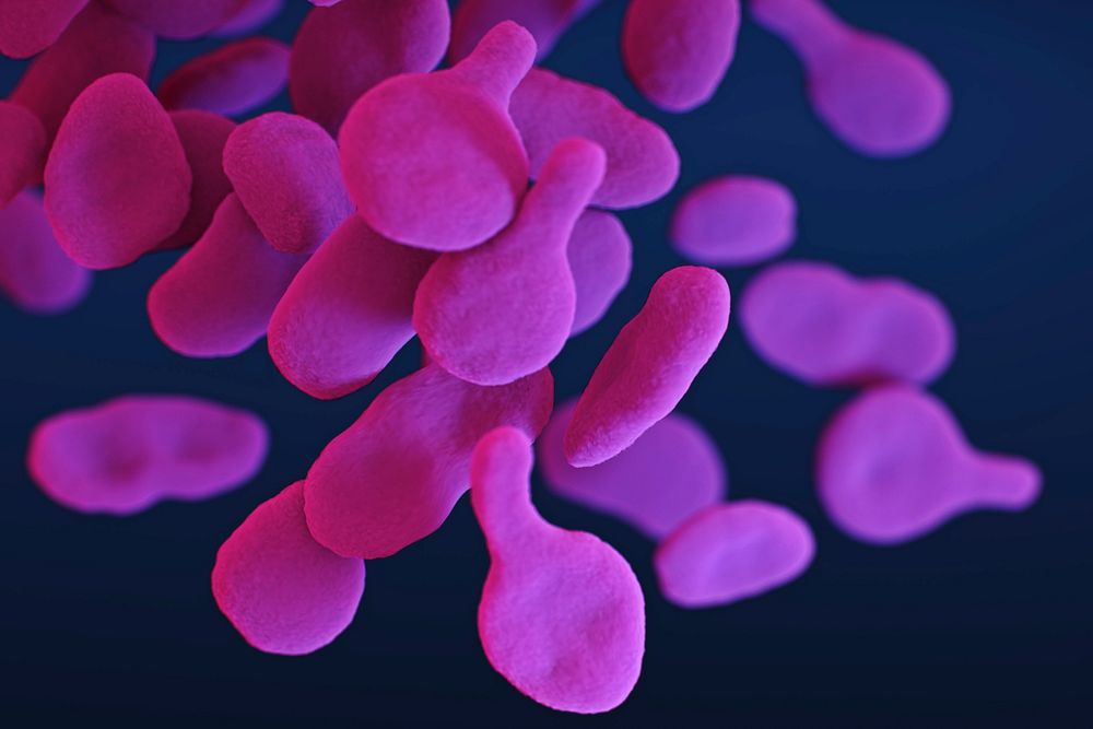 A medical illustration of drug&ndash;resistant, Mycoplasma genitalium bacteria. Original image sourced from US Government…