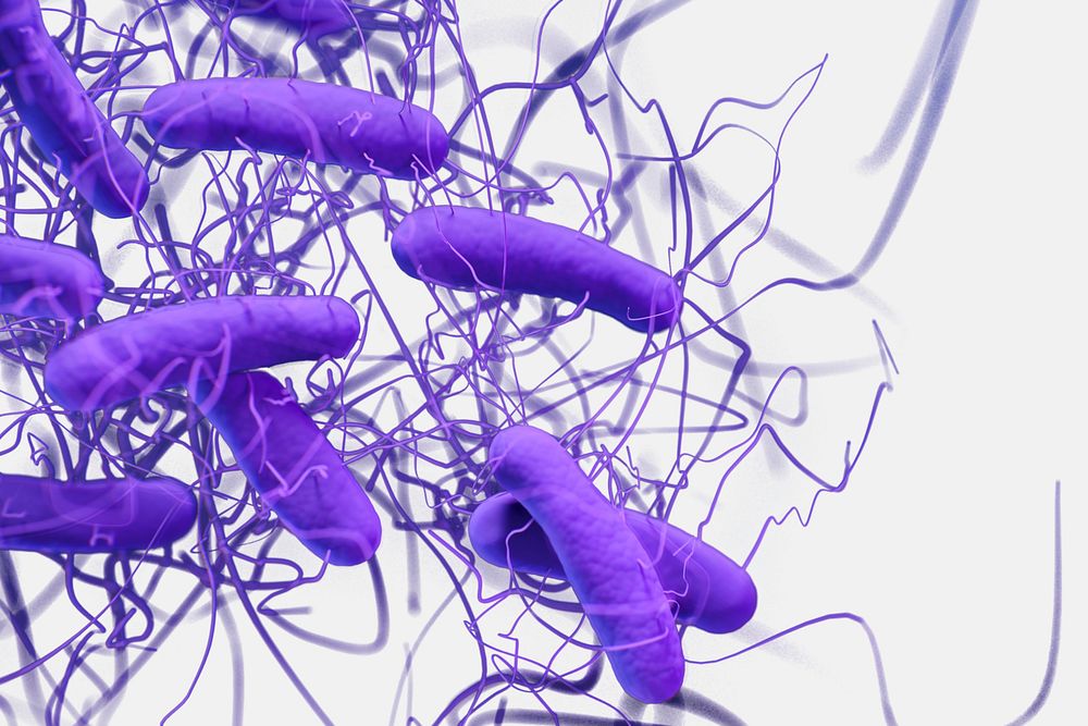 A 3D illustration of Clostridioides difficile bacteria