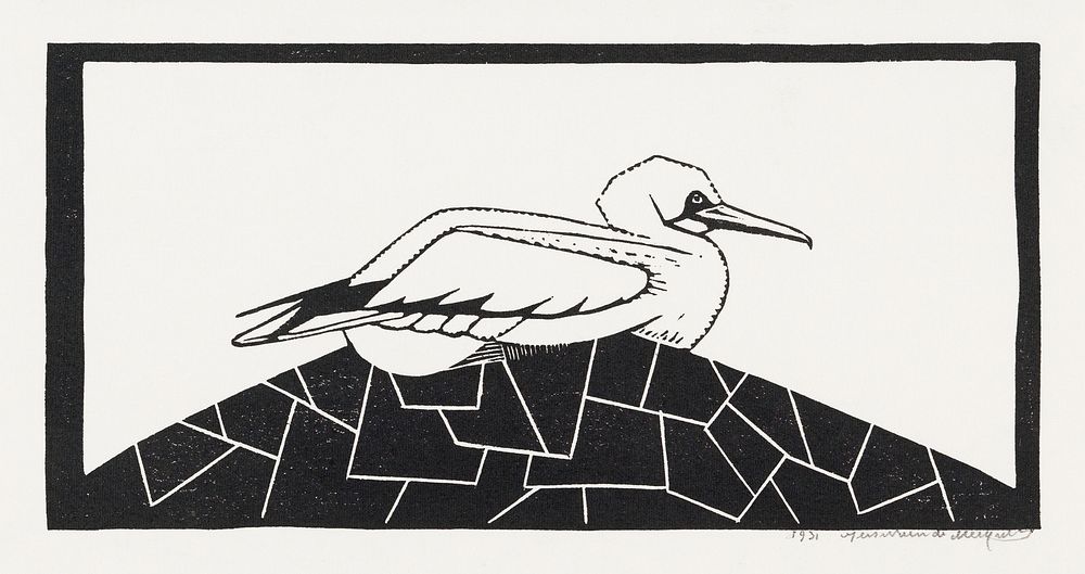 Northern gannet (Jan&ndash;van&ndash;gent) (1931) print in high resolution by Samuel Jessurun de Mesquita. Original from The…