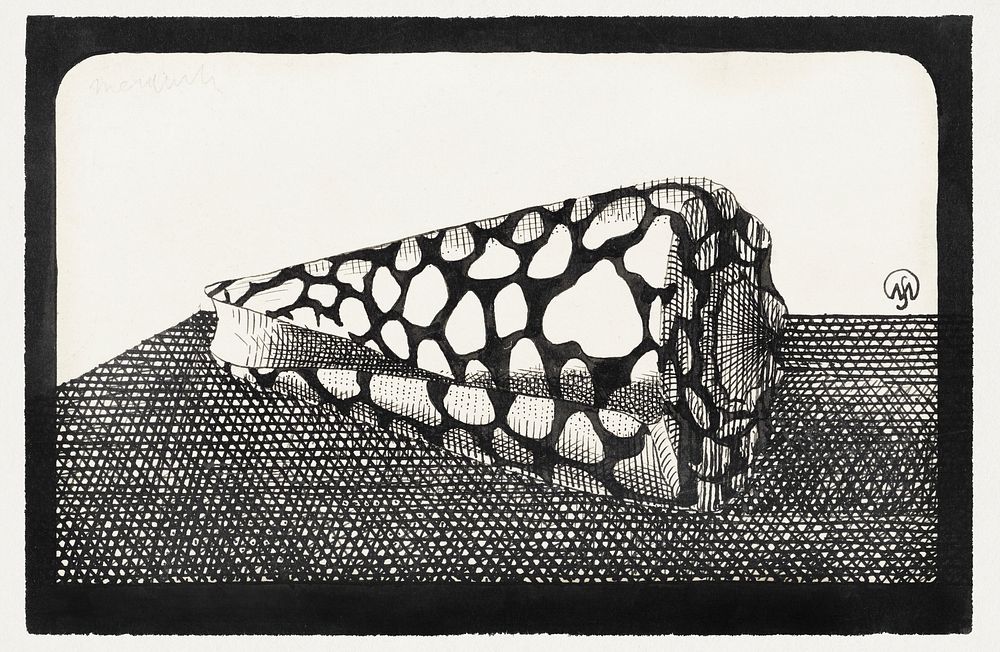 Left side of shell (Schelp, naar links) (1878&ndash;1944) print in high resolution by Samuel Jessurun de Mesquita. Original…