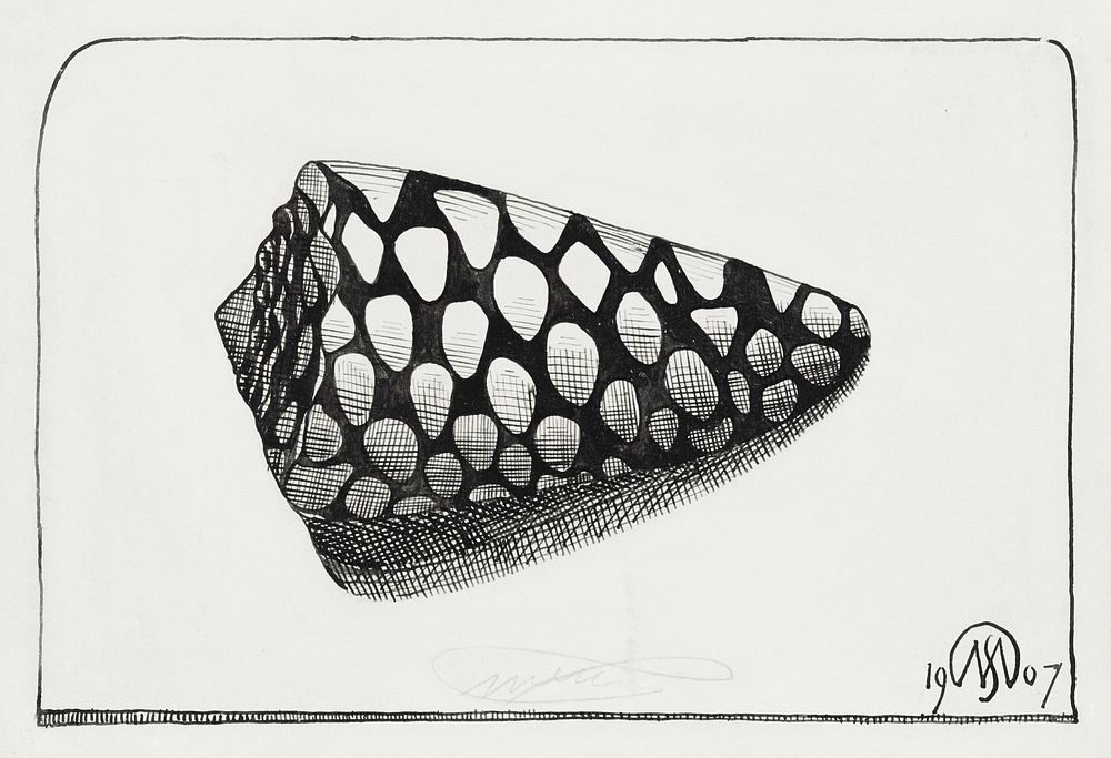 Right side of shell (Schelp, naar rechts) (1907) print in high resolution by Samuel Jessurun de Mesquita. Original from The…