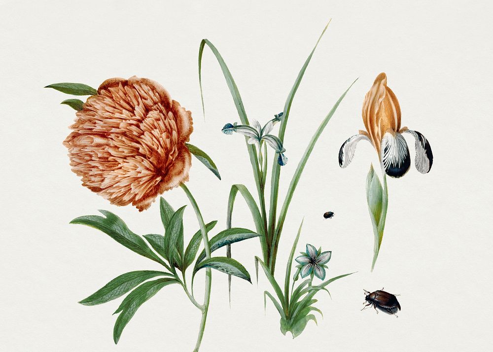 Flowers and Beetles (1582) painting in high resolution by Hans Hoffmann. Original from Getty Museum. Digitally enhanced by…