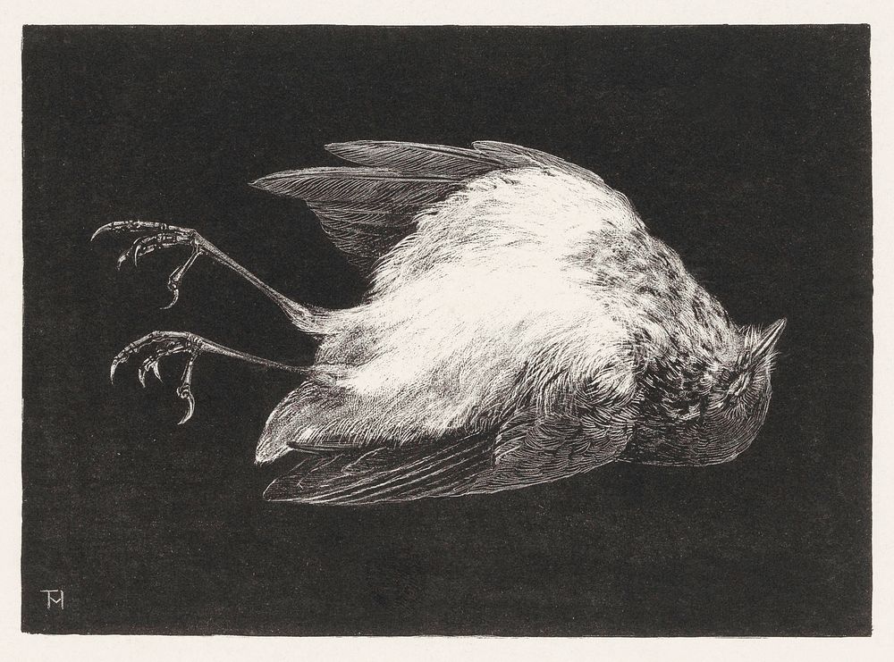 Dood roodborstje (1895) print in high resolution by Theo van Hoytema. Original from The Rijksmuseum. Digitally enhanced by…