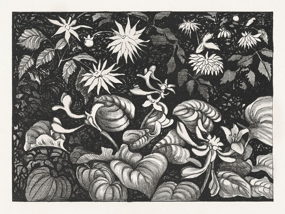 Wilde planten en bloemen (1878&ndash;1917) print in high resolution by Theo van Hoytema. Original from The Rijksmuseum.…