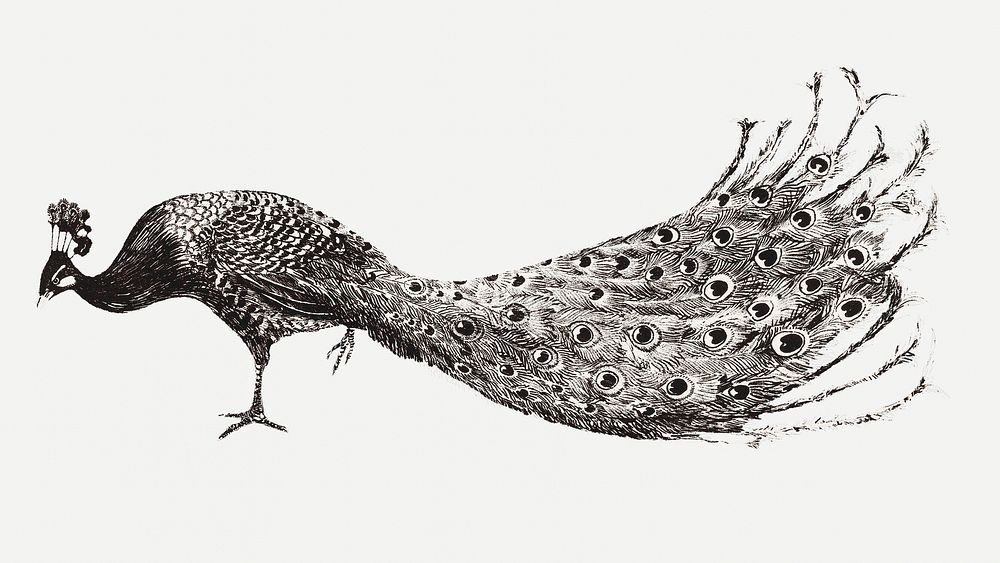 Vintage peacock art print, remix from artworks by Theo van Hoytema