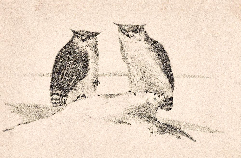 Wenskaart met twee uilen (1890) print in high resolution by Theo van Hoytema. Original from The Rijksmuseum. Digitally…