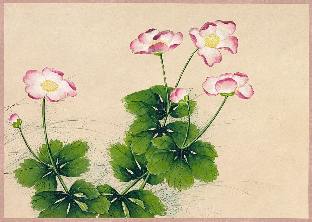 Mallow flowers (18th Century) painting in high resolution by Zhang Ruoai. Original from The Cleveland Museum of Art.…