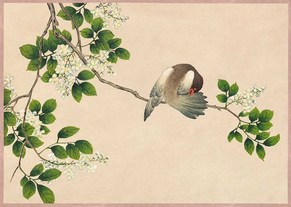 Preening Bird (18th Century) painting in high resolution by Zhang Ruoai. Original from The Cleveland Museum of Art.…