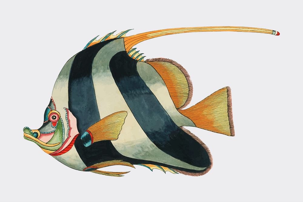 Colorful and surreal illustrations of fishes found in Moluccas (Indonesia) and the East Indies by Louis Renard (1678 -1746)…